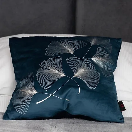 Poludniowa Przystan By Renters Apartment Debki